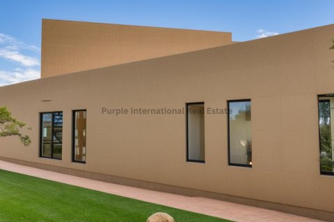 Вилла с 5 спальнями в Пейя, Пафос, Кипр № 36707 29