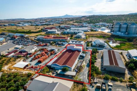 1308m2 Commercial property in Larnaca, Larnaka, No. 37919 4