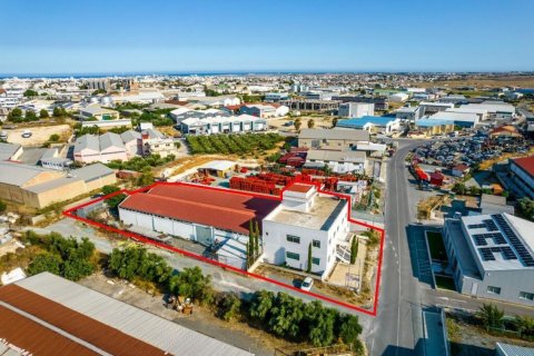 1308m2 Commercial property in Larnaca, Larnaka, No. 37919 3