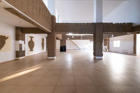 Hotel in Nicosia, No. 37921 14