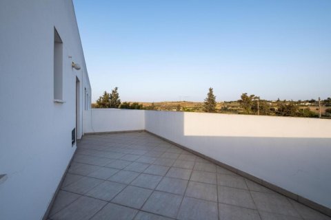 Hotel in Nicosia, No. 37921 8