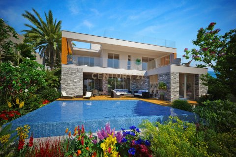 4 dormitorios Villa en Paphos,  No. 55502 4