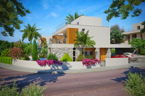 4 dormitorios Villa en Paphos,  No. 55502 3