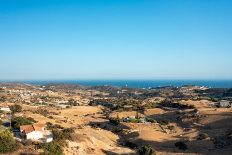 4 chambres Villa à Parekklisia, Limassol,  No. 49641 19