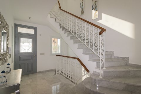 3 chambres Villa à Limassol,  No. 49646 9