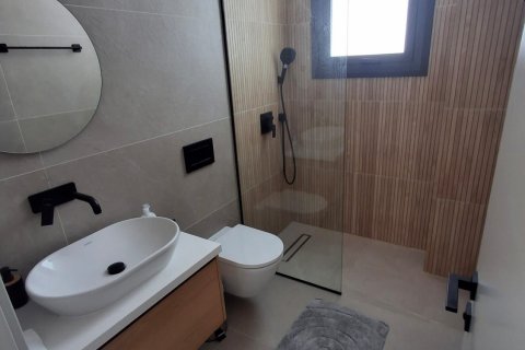 Вилла с 3 спальнями в Хлорака, Пафос, Кипр № 37117 15