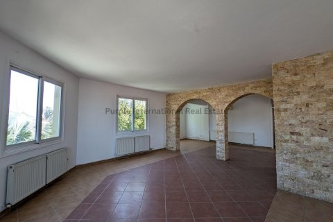 Коммерческая недвижимость 362м2 в Никосия, Кипр № 37175 25
