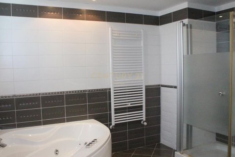 Вилла с 5 спальнями в Пафос,  № 54288 13