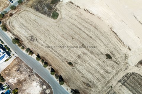 Land in Dali, Nicosia, No. 39063 6