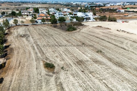 Land in Dali, Nicosia, No. 39063 3