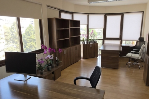 206m2 Bureau à Nicosia,  No. 52502 9