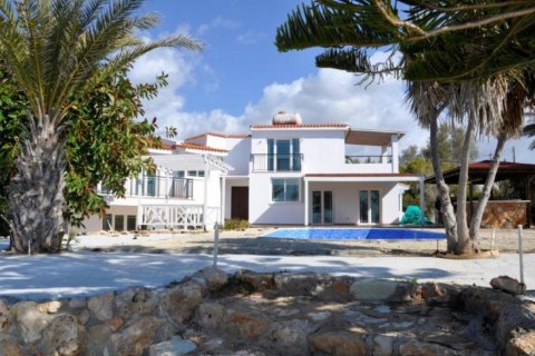 Studio Villa in Paphos,  No. 38298