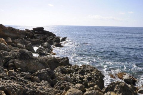 Вилла студия в Пафос,  № 38298 8