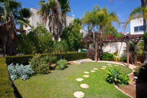 Studio Villa à Limassol,  No. 38230 13