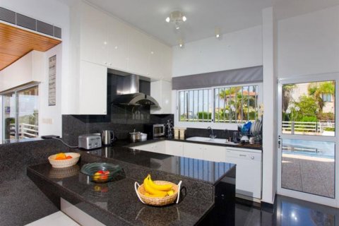 Studio Villa à Limassol,  No. 38230 7