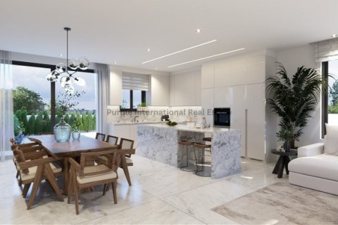 Вилла с 3 спальнями в Френарос, Аммохостос,  № 51211 8