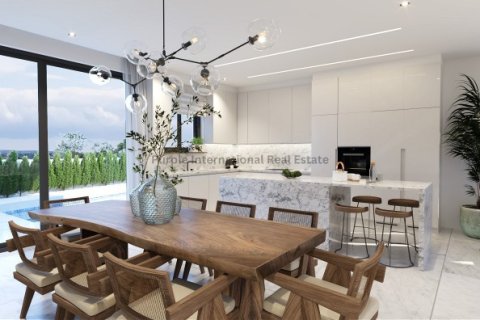 Вилла с 3 спальнями в Френарос, Аммохостос, № 51210 7