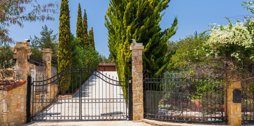 Вилла с 8 спальнями в Суни-Занакья, Лимасол,  № 39262