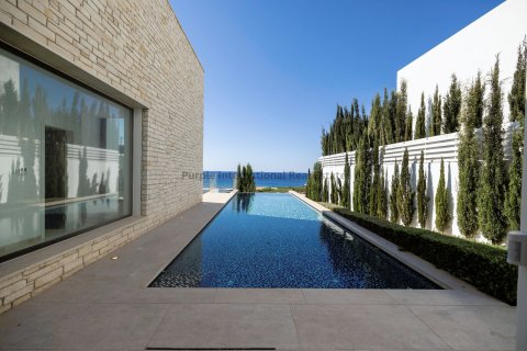 5 bedrooms Villa in Pegeia, Paphos,  No. 35804 29