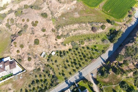 Terrain à Parekklisia, Limassol,  No. 56295 5