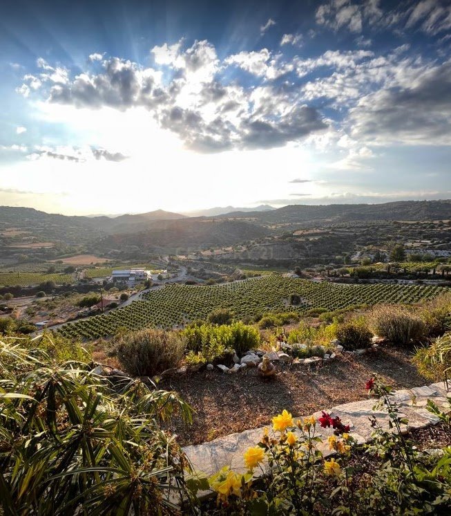 Terrain à Kato Drys, Larnaka, Chypre No. 56137