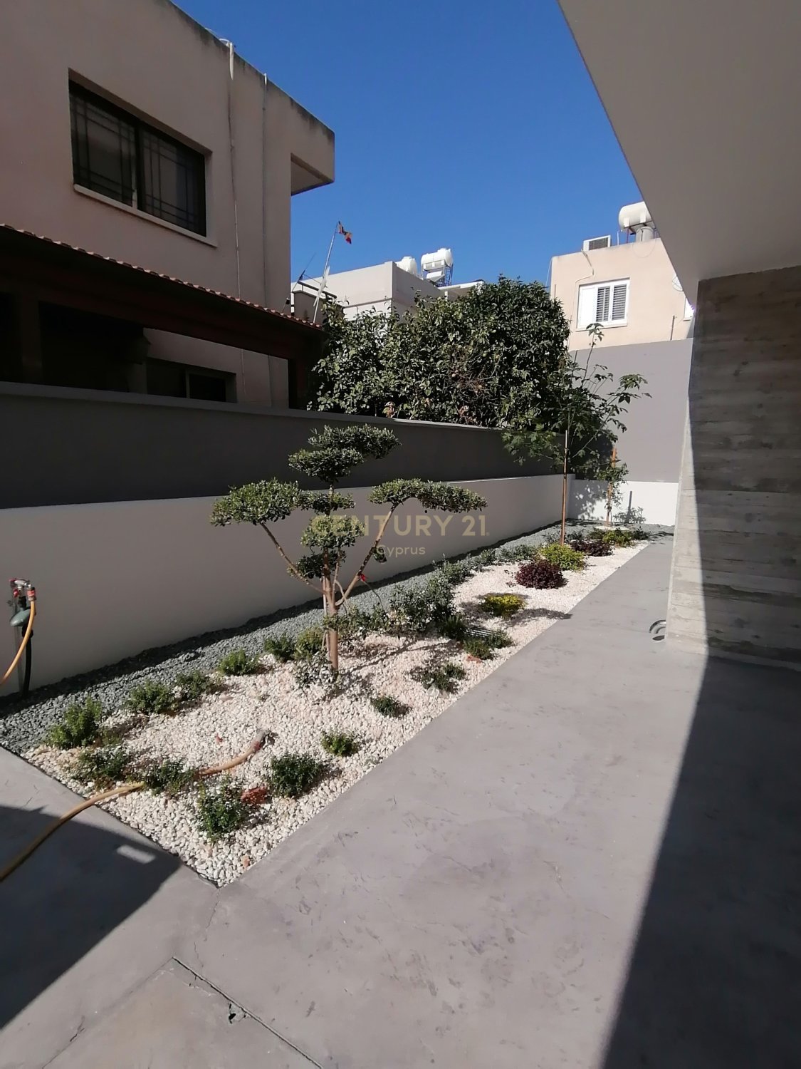 12 bedrooms Building in Zakaki, Limassol, Cyprus No. 53475