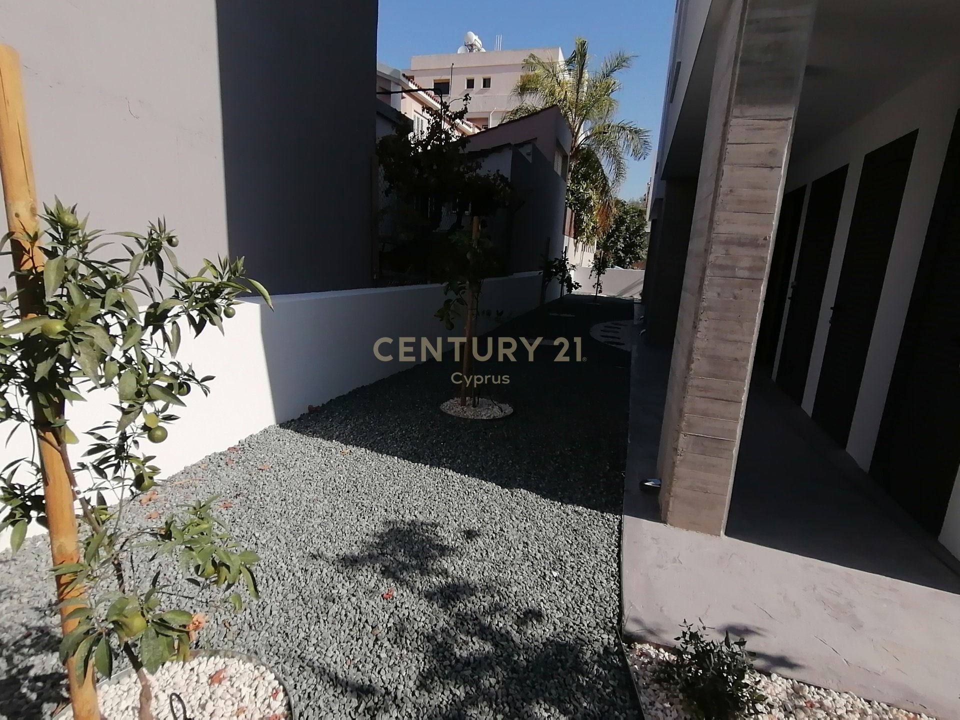 12 bedrooms Building in Zakaki, Limassol, Cyprus No. 53475