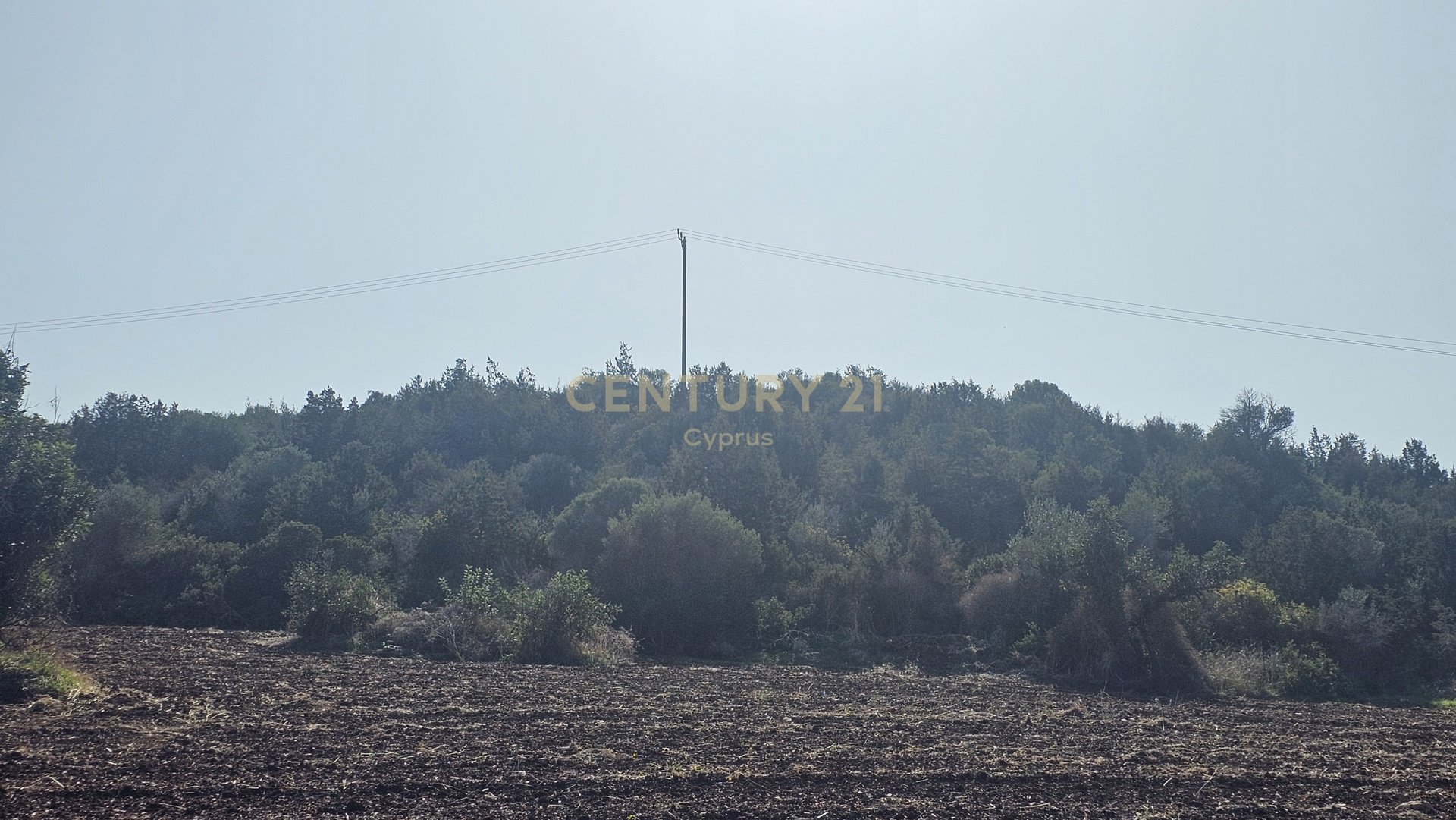 Land in Polis, Paphos, Cyprus No. 56059
