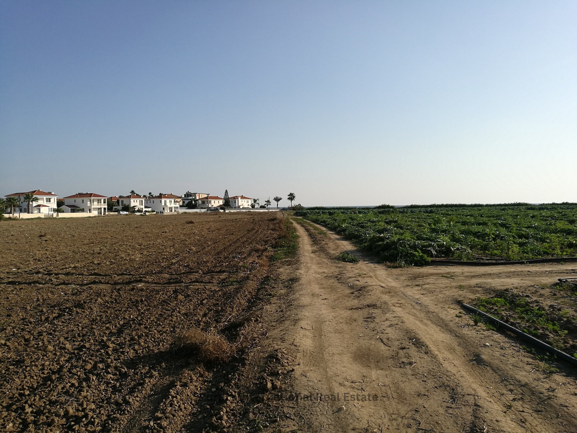 Terreno en Kiti, Larnaka, Chipre No. 36192