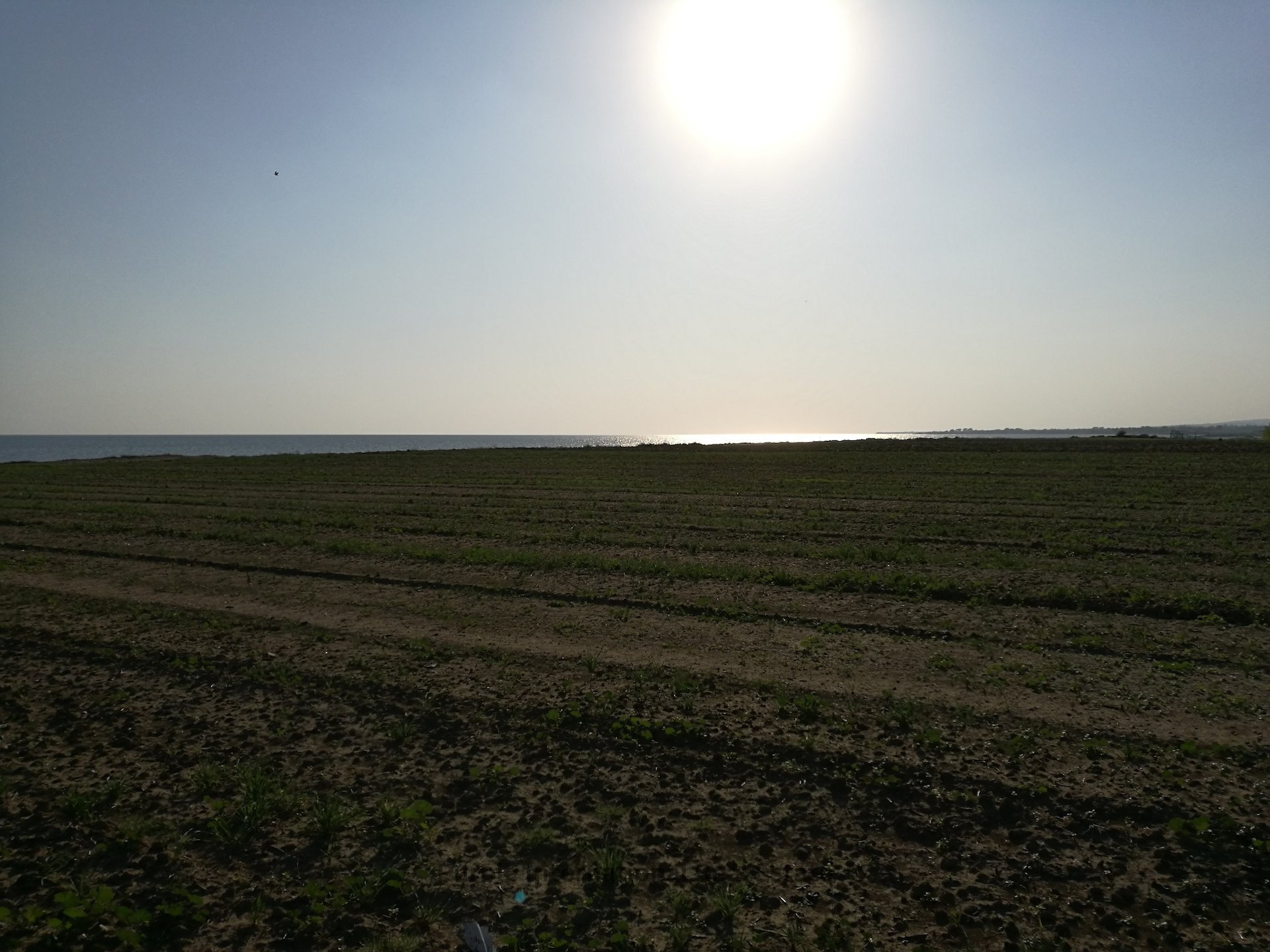 Terreno en Kiti, Larnaka, Chipre No. 36192