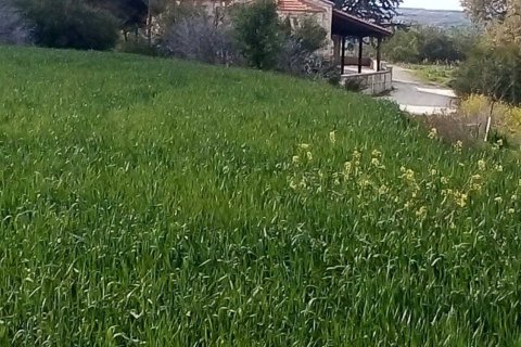 21741m2 Land in Nicosia,  No. 40216 4
