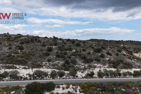 14664m2 Terrain à Choirokoitia, Larnaka,  No. 56703 4