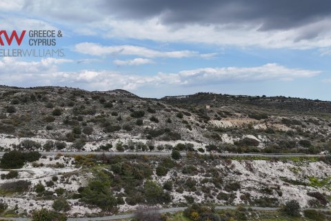 14664m2 Terrain à Choirokoitia, Larnaka,  No. 56703 5