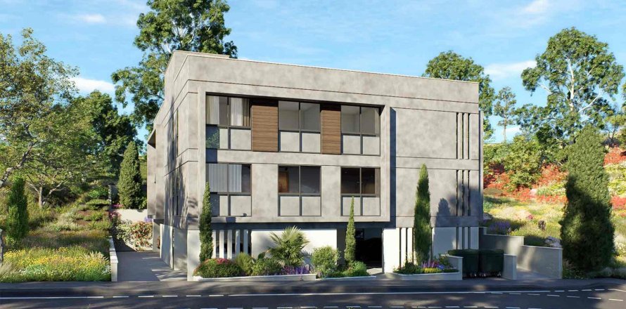 1 bedroom Apartment in Prodromos, Nicosia,  No. 41501