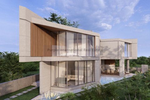 Вилла с 3 спальнями в Пафос, Кипр № 37517 2
