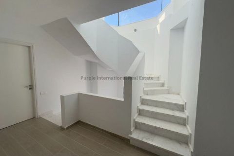 Вилла с 6 спальнями в Пейя, Пафос, Кипр № 37516 30