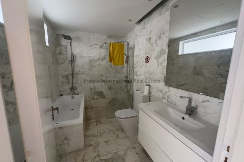 Вилла с 6 спальнями в Пейя, Пафос, Кипр № 37516 26