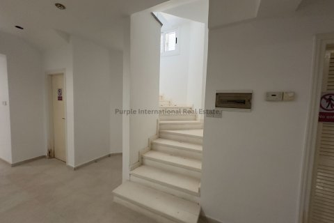 Вилла с 6 спальнями в Пейя, Пафос, Кипр № 37516 16