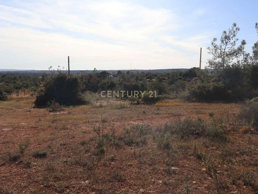 Terrain à Souni–Zanatzia, Limassol, Chypre No. 55913