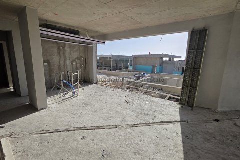 3 bedrooms Villa in Tala, Paphos,  No. 39379 7