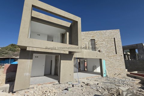 3 bedrooms Villa in Tala, Paphos,  No. 39379 3