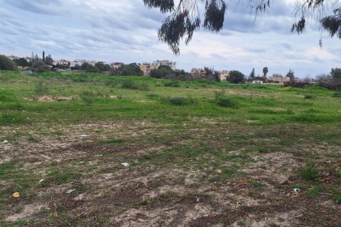 9960m2 Land in Zygi, Larnaka,  No. 39632 2