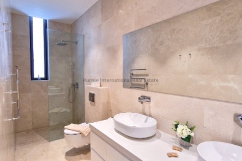 5 chambres Villa à Kato Paphos, Paphos,  No. 51596 12