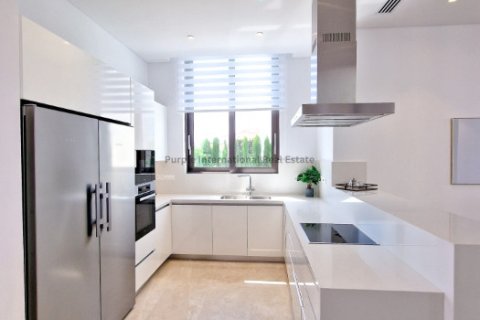 5 chambres Villa à Kato Paphos, Paphos,  No. 51596 6