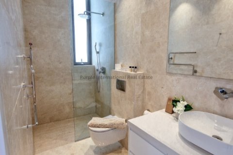 5 chambres Villa à Kato Paphos, Paphos,  No. 51596 20