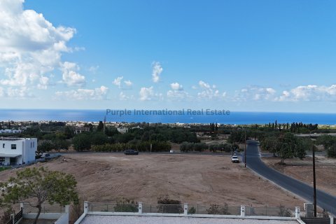 4 chambres Villa à Tala, Paphos,  No. 39240 16