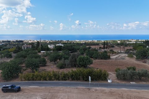 Бунгало с 3 спальнями в Тала, Пафос, № 39239 21