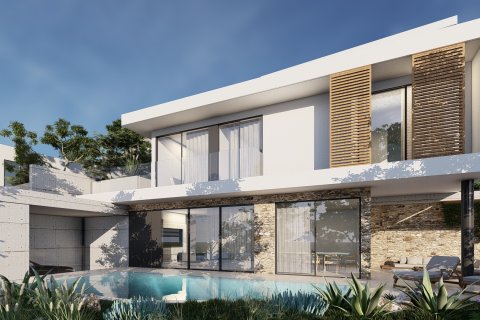 3 chambres Villa à Geroskípou, Paphos, Chypre No. 30089