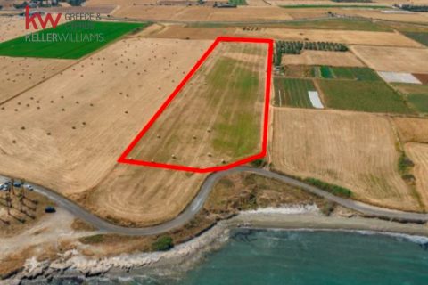 27960m2 Land in Softades, Larnaka, No. 40650 3