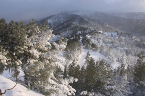 Вилла с 5 спальнями в Лимассол, Лимасол,  № 38916 14